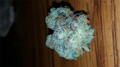 User uploaded image of Lime Sorbet