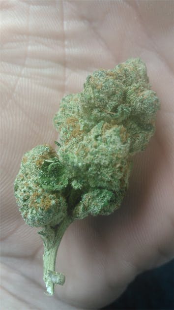 Photos of Limon Weed Strain Buds Leafly
