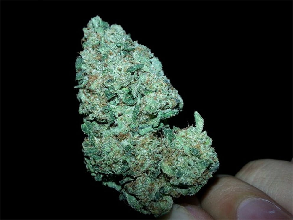 Photos of Liquid Butter Weed Strain Buds Leafly