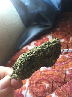 User uploaded image of Liquid Butter