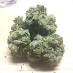 User uploaded image of Little Dragon