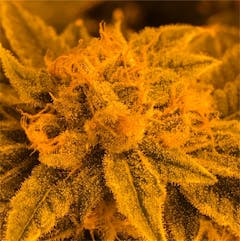 User uploaded image of Locktite