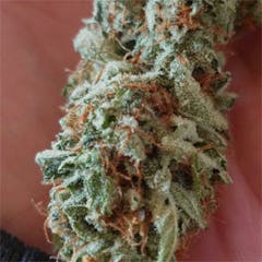 User uploaded image of Locktite