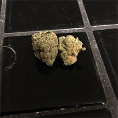 User uploaded image of Lodi Dodi