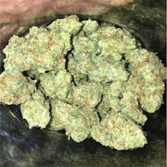 User uploaded image of Lodi Dodi