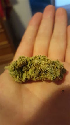 User uploaded image of Lodi Dodi