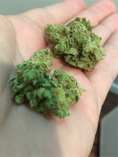 User uploaded image of Lodi Dodi