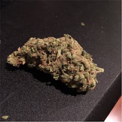 User uploaded image of Lodi Dodi