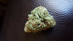 User uploaded image of Longbottom Leaf