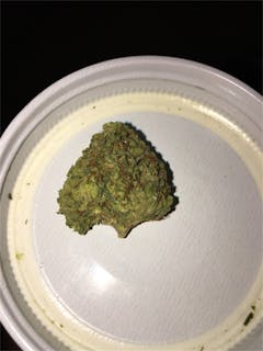 User uploaded image of Lost Coast