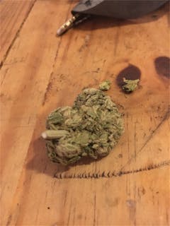 User uploaded image of Lost Coast