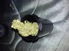 User uploaded image of Lost Coast