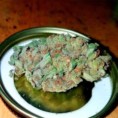 User uploaded image of Loud Dream