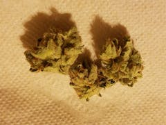 User uploaded image of Loud Dream