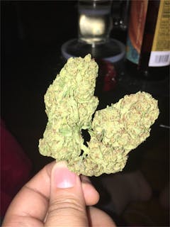 User uploaded image of Loud Scout