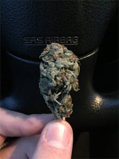 User uploaded image of Love Potion