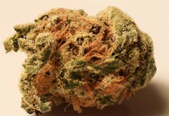 User uploaded image of Love Potion