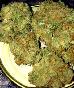 User uploaded image of Love Potion