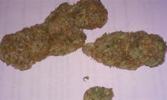 User uploaded image of Love Potion #9