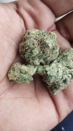 User uploaded image of Love Potion #9