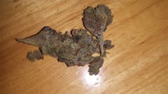 User uploaded image of Love Potion #9