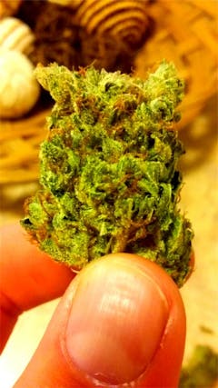 User uploaded image of Love Potion #9