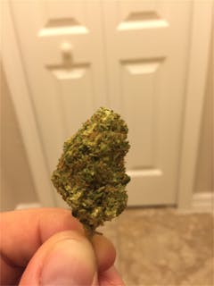 User uploaded image of Lowryder