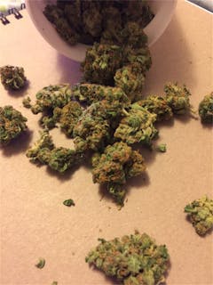 User uploaded image of Luca Brasi x Sour Diesel