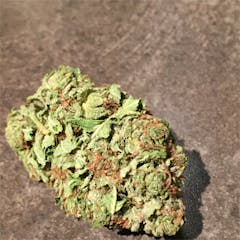 User uploaded image of Lucid Bolt