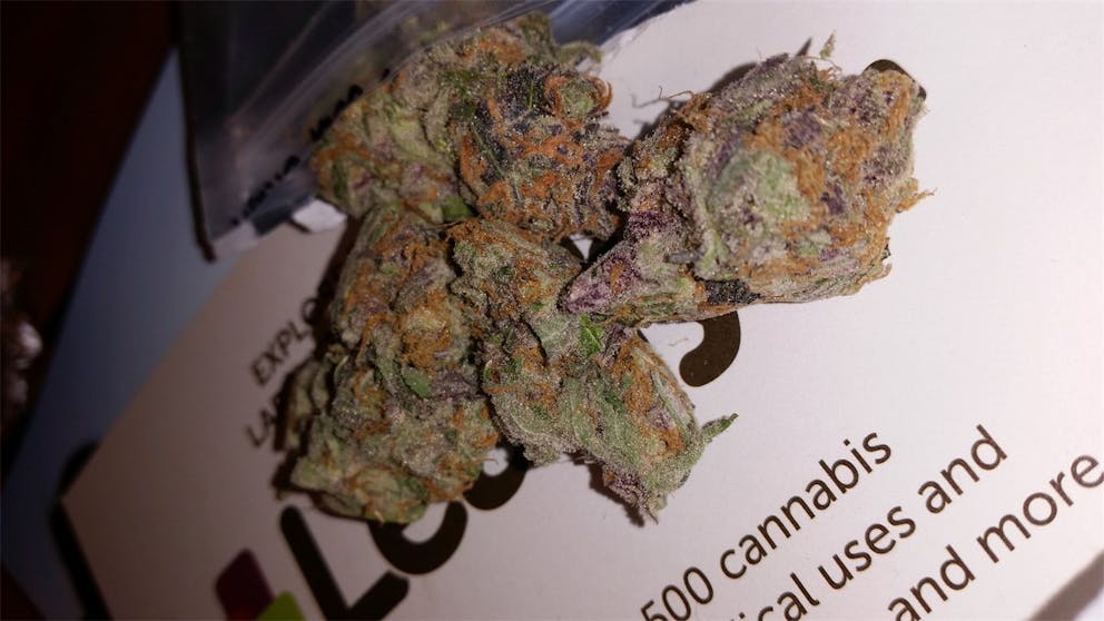 Photos of Lucid Dream Weed Strain Buds Leafly