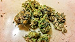 User uploaded image of Lucid Dream