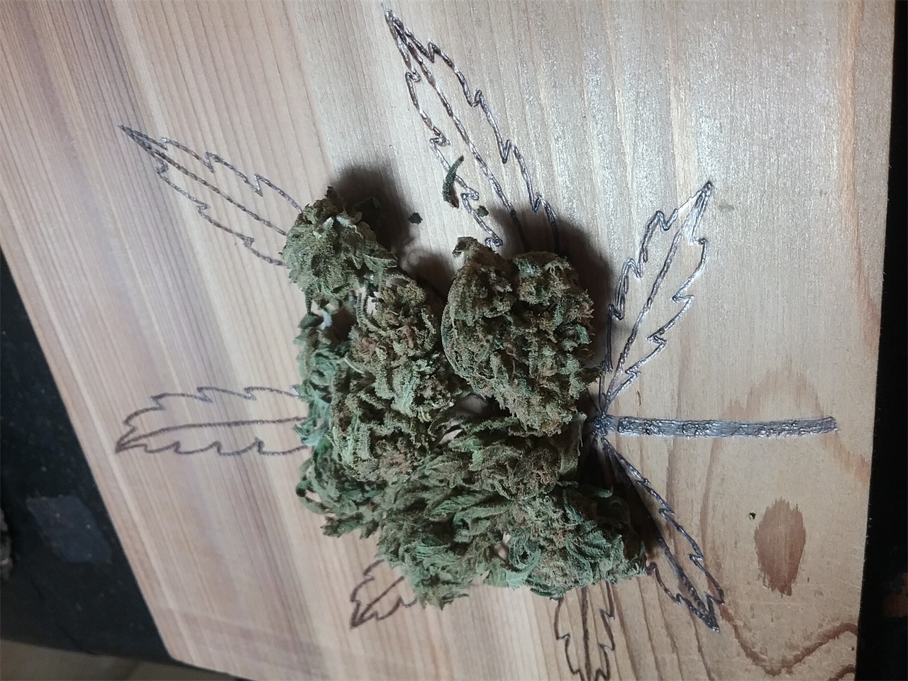 Lucid Dream Weed Strain Information