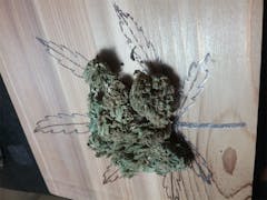 User uploaded image of Lucid Dream