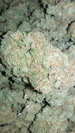 User uploaded image of Lucid Dream