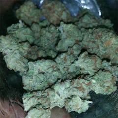 User uploaded image of Bodhi's Charms