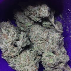 User uploaded image of Bodhi's Charms