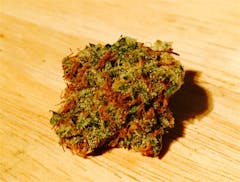 User uploaded image of Bodhi's Charms