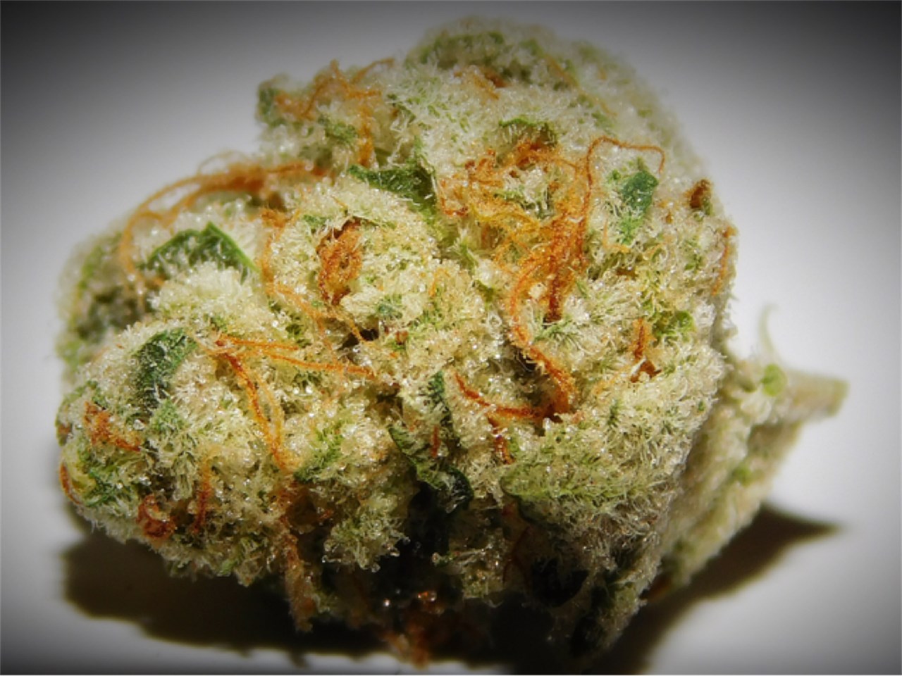 Lucky Charms Marijuana Strain Information