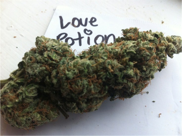 HALF PRICE LUXURY WITH LOUIS VUITTON KUSH  A STRAIN REVIEW  Real  Functional