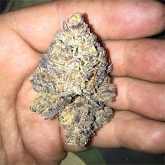 User uploaded image of LVPK