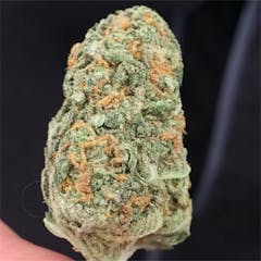 User uploaded image of M-39