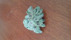 User uploaded image of Mad Dawg