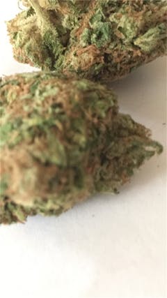 User uploaded image of Mad Dawg