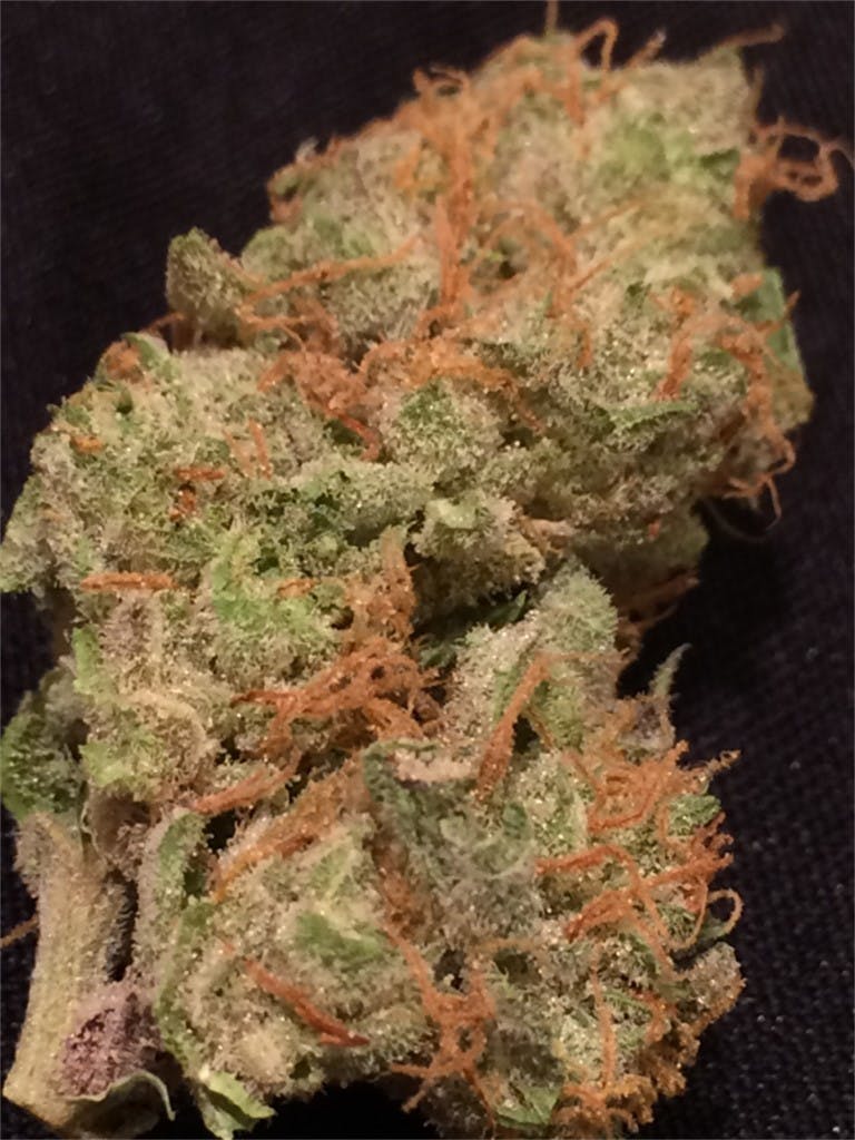 mad-scientist-aka-mad-s-weed-strain-information-leafly