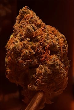 User uploaded image of Mad Scientist