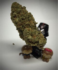 User uploaded image of Mad Scientist