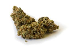 User uploaded image of Madcow