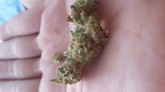 User uploaded image of Madman OG
