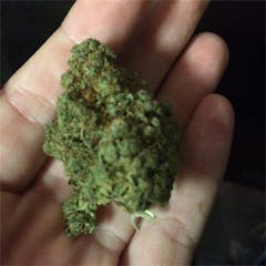 User uploaded image of Madman OG