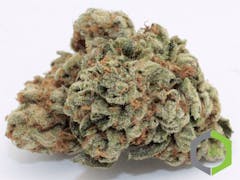 User uploaded image of Madzilla